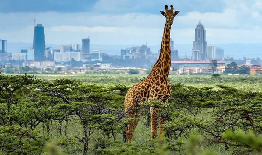 Nairobi Adventure: Unforgettable Day Excursions for Every Tourist. 1 Nairobi Adventure: Unforgettable Day Excursions for Every Tourist.