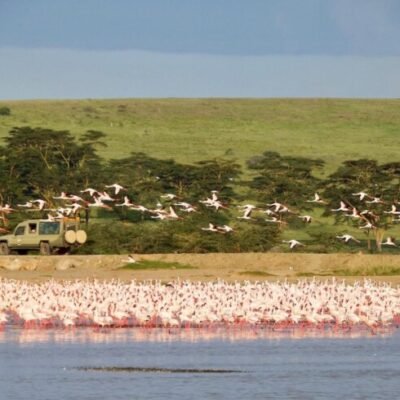 Riftvalley1 Kenya