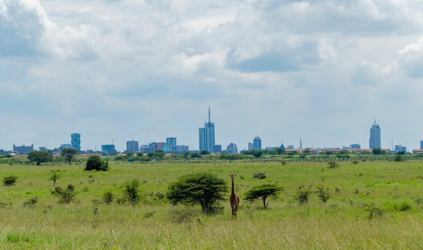 Experiencing Nairobi: The Perfect Day Tours 5 Experiencing Nairobi: The Perfect Day Tours