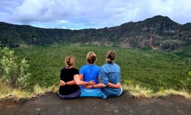 Wild elephants roaming the vast savanna plains of Kenya safari