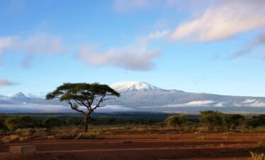 RemasterDirector 18da6b0cf Kenya