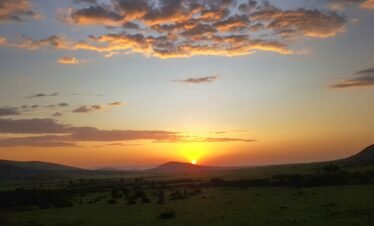 RemasterDirector 18da6b0cf Kenya