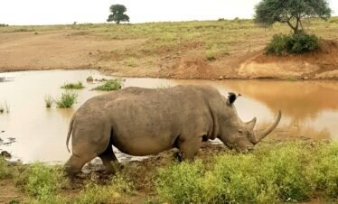 20220723 124520 Kenya