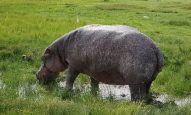 20230611 090351 Kenya