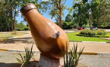 RemasterDirector 18da6b0cf Kenya