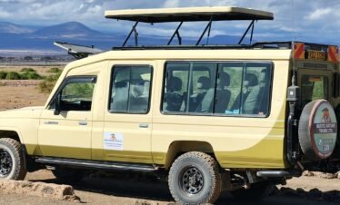 Wild African landscape at golden sunset during Kenya safari adventure