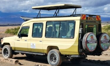 Wild African safari landscape at golden sunset in Kenya's wilderness