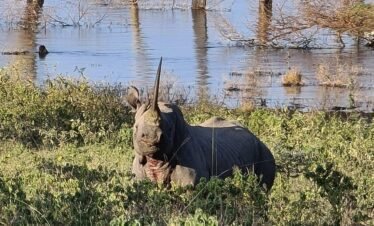 IMG 20201217 235019 927 Kenya