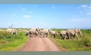 IMG 20210305 124928 174 Kenya