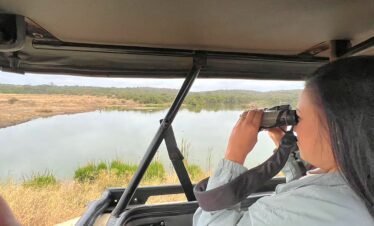 RemasterDirector 18da6b0cf Kenya