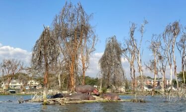 Lake naivasha2 Kenya