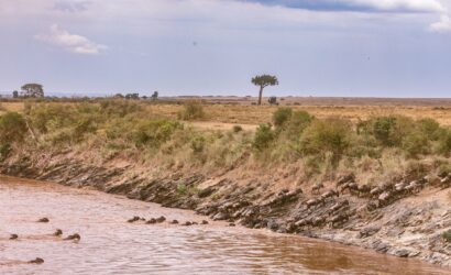 mara migration4
