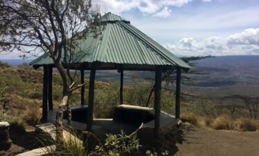Wild African safari landscape at golden hour in Kenya's savanna