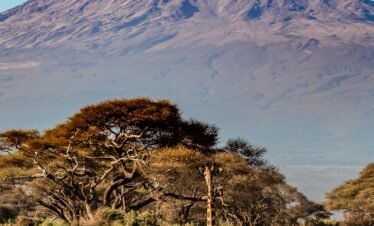 Amboseli park7 Kenya