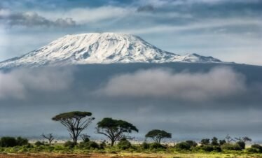 Amboseli park9 Kenya