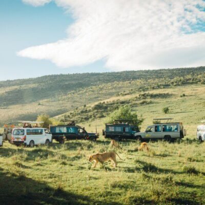 Kenyan safari
