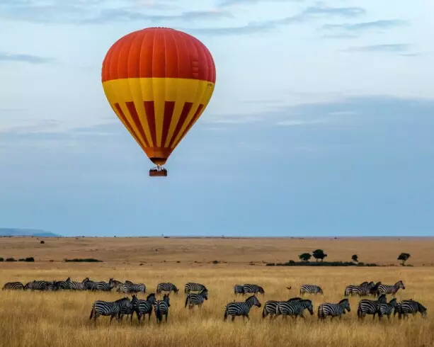 Safari photograph from the 4-day Maasai Mara safari trip