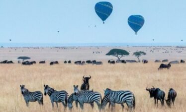 Maasai mara (19) Kenya