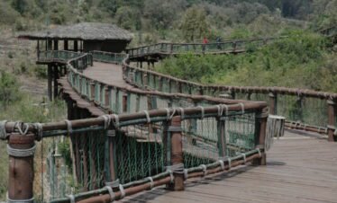 Nairobi safari walk Kenya