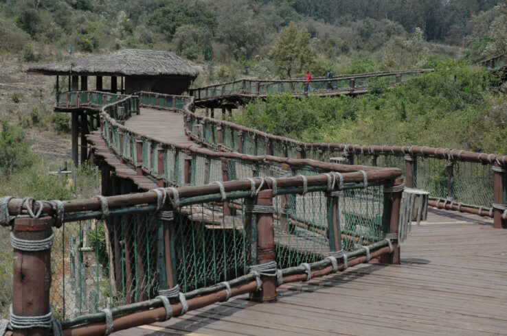 A Guide to the Nairobi National Park Safari Walk 7 A Guide to the Nairobi National Park Safari Walk
