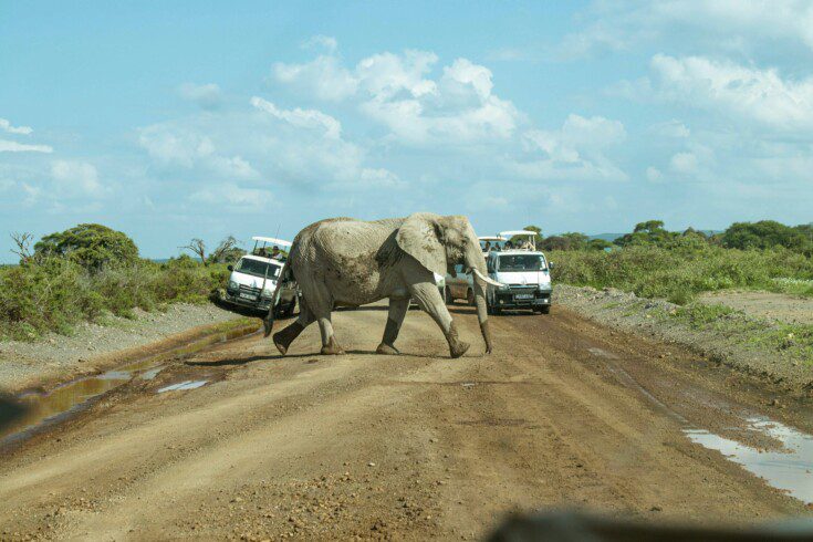 A Romantic Escape: 3 Days Safari in Amboseli Park 9 A Romantic Escape: 3 Days Safari in Amboseli Park