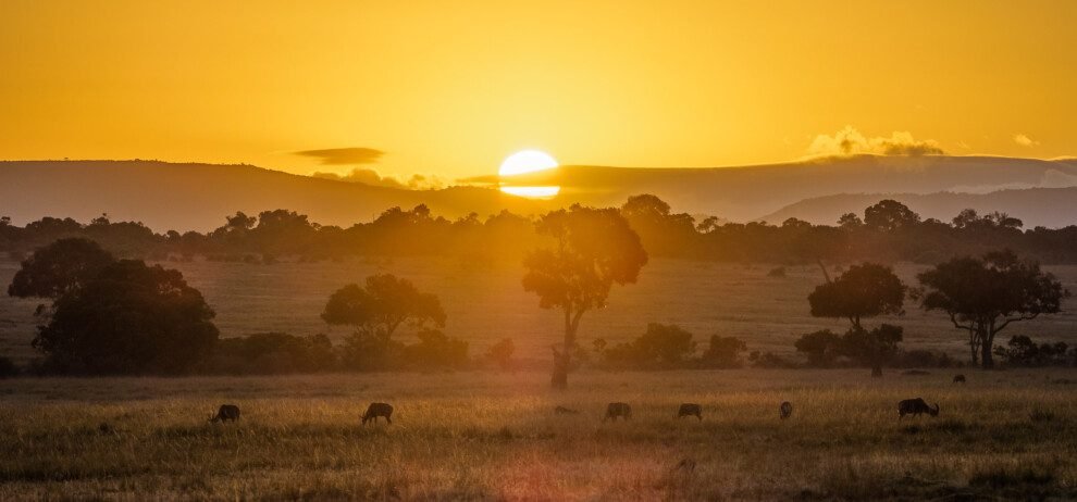Masai Mara Sunset
