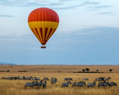 The Best Time to Go on a Kenya Safari: A Seasonal Breakdown 4 The Best Time to Go on a Kenya Safari: A Seasonal Breakdown
