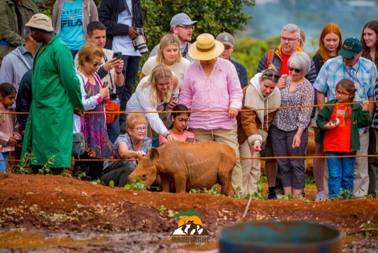 Blog 8 Rustic Nature Tours Kenya Safari 173