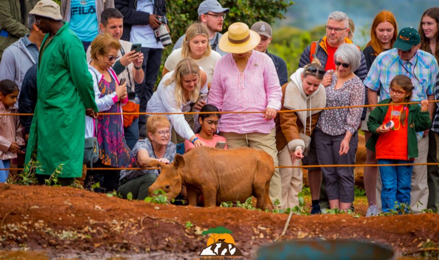 Nairobi Day Tours: Explore the Best Activities in the City