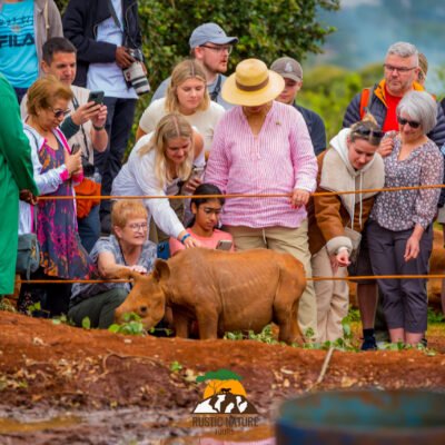 Rustic Nature Tours Kenya Safari 173 scaled