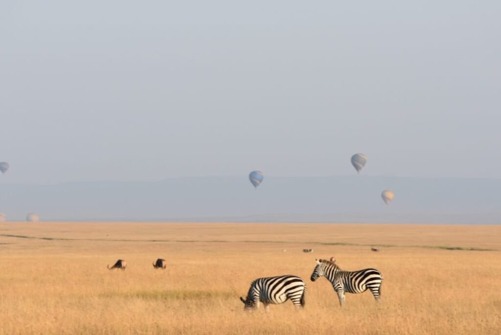 Lodge gallery image 6