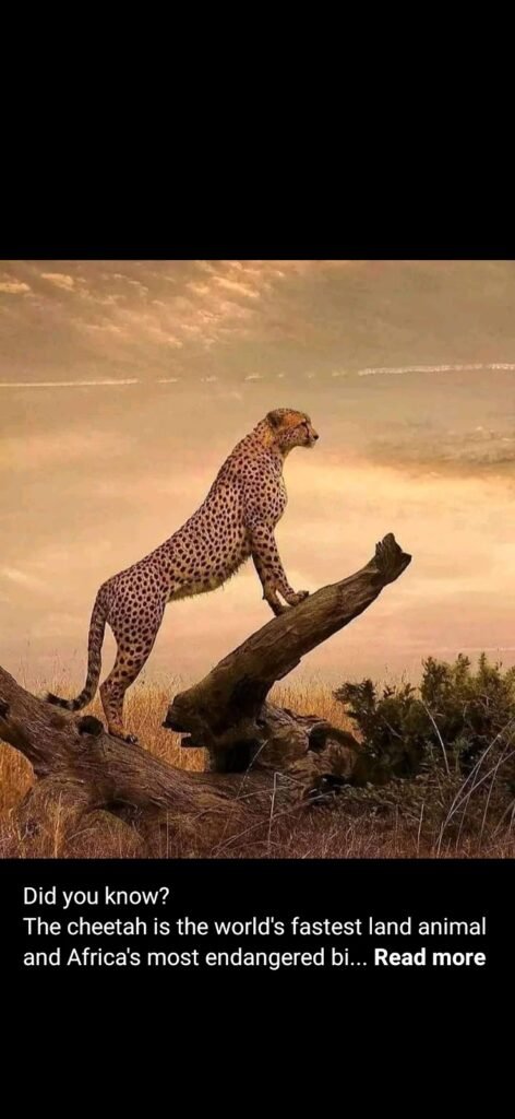 Lodge gallery image 5