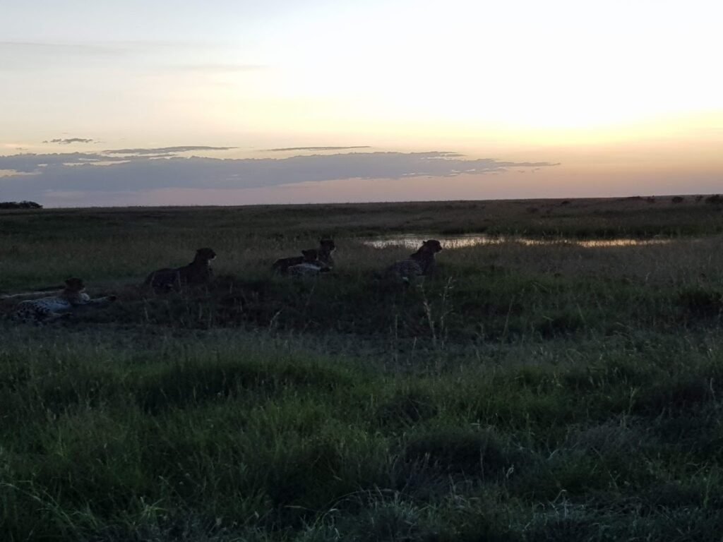 Lodge gallery image 3