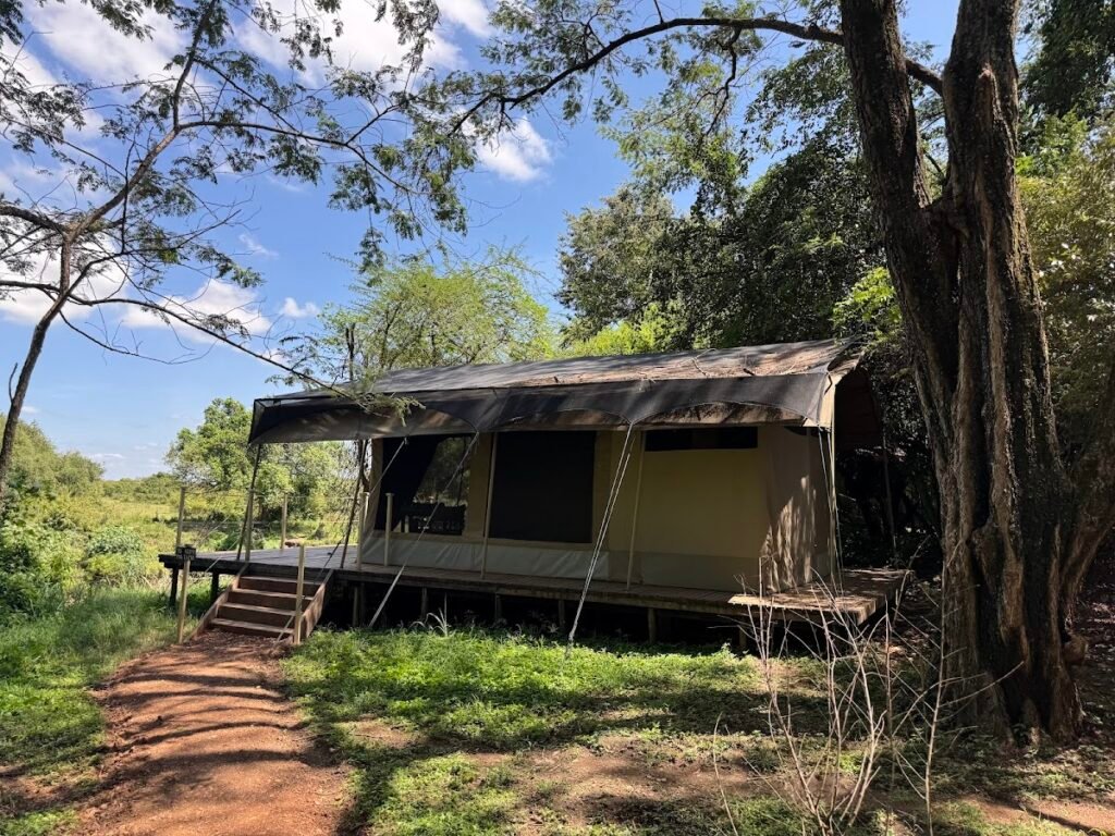 Lodge gallery image 6