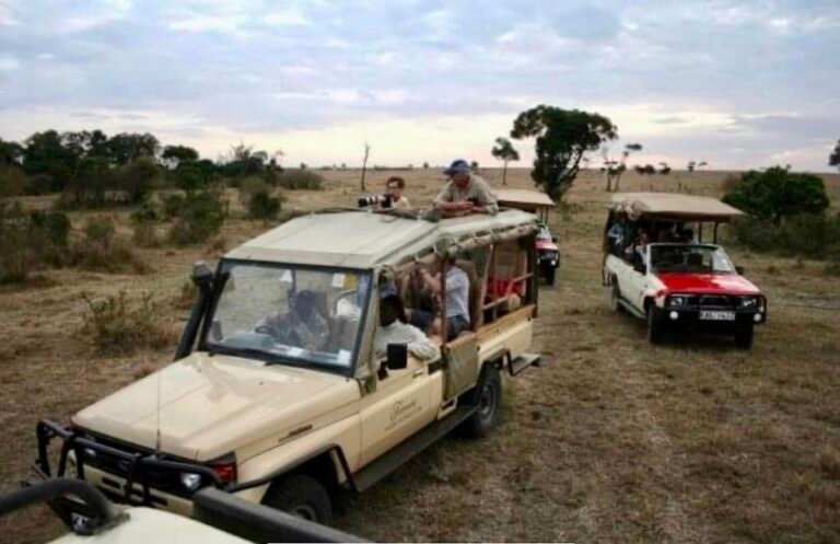 David Livingstone Safari Resort