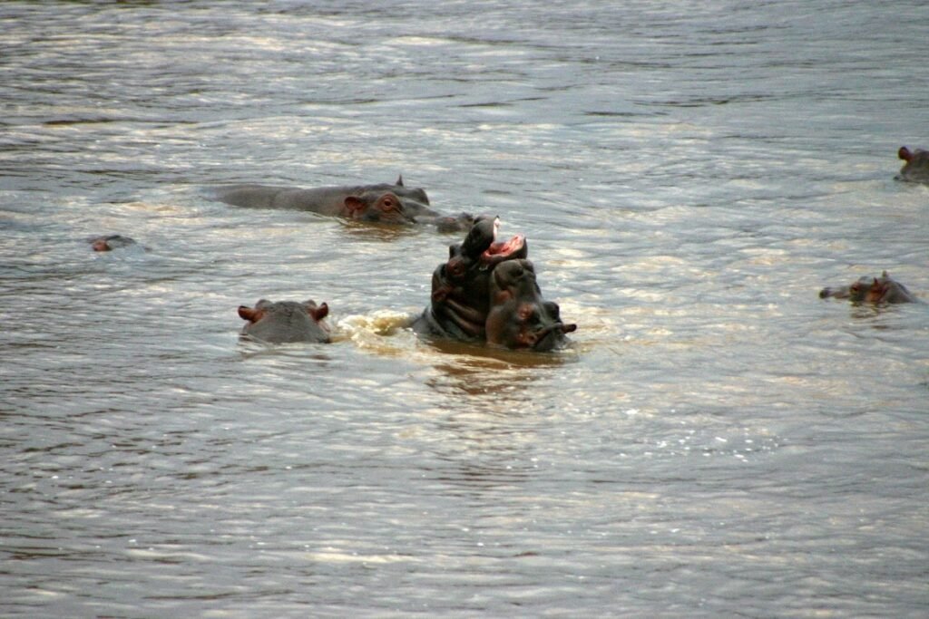 Lodge gallery image 2