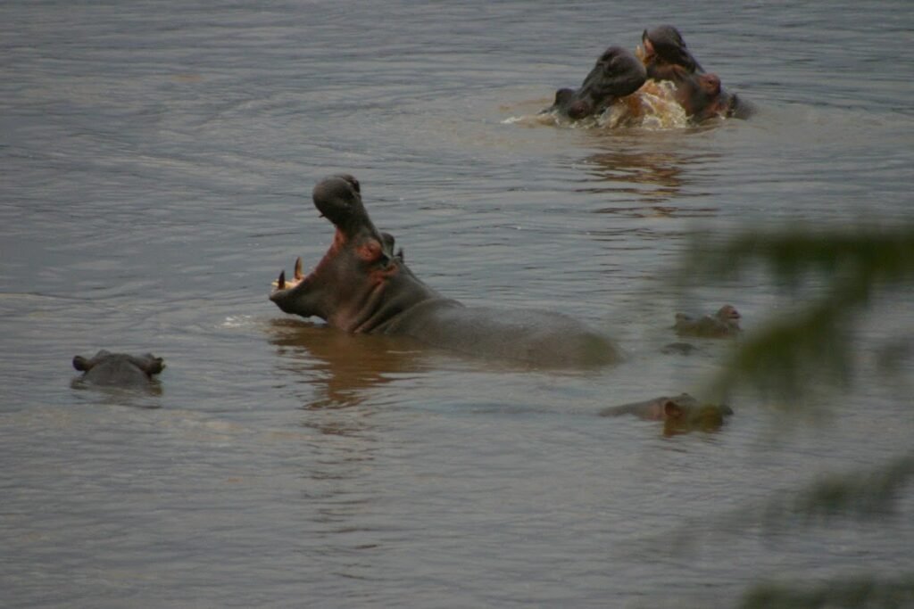 Lodge gallery image 3