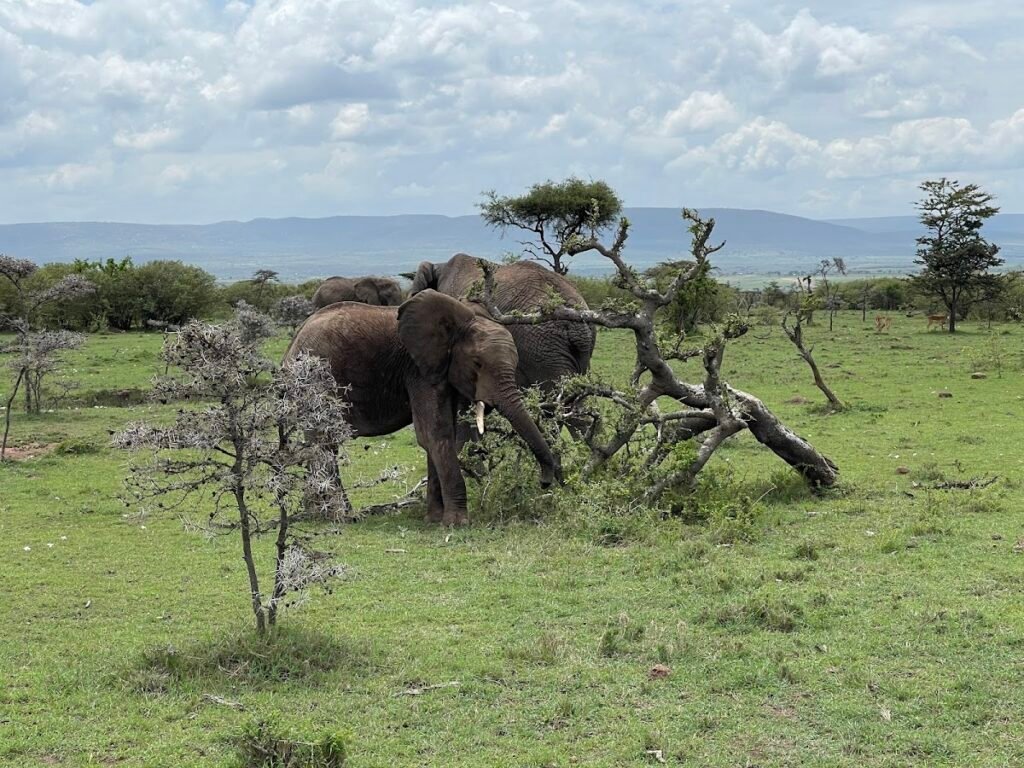 Lodge gallery image 5