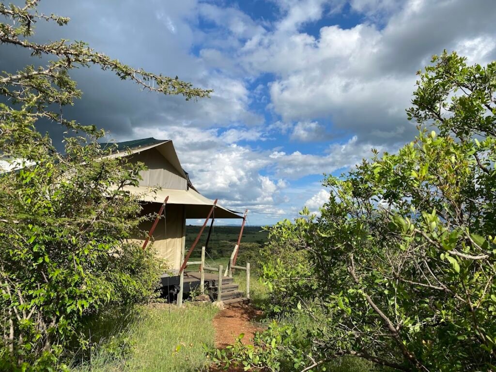 Lodge gallery image 6