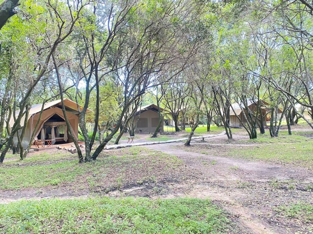 Lodge gallery image 5