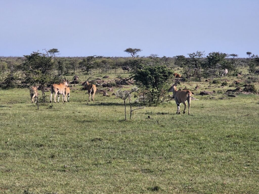 Lodge gallery image 3