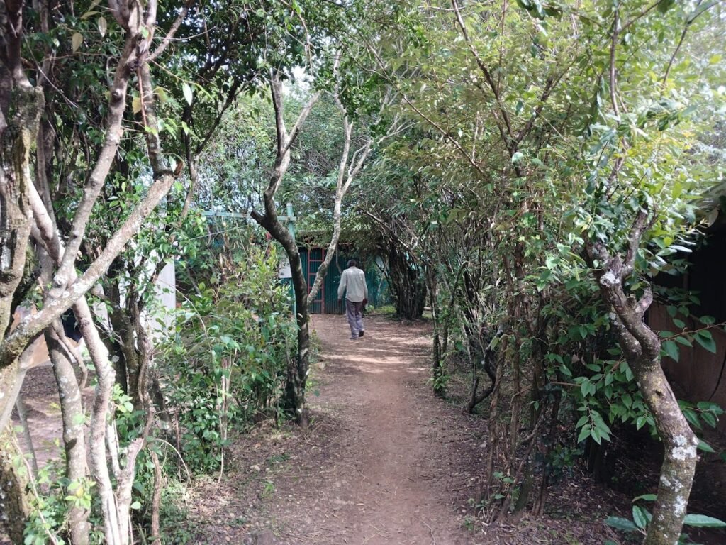 Lodge gallery image 6