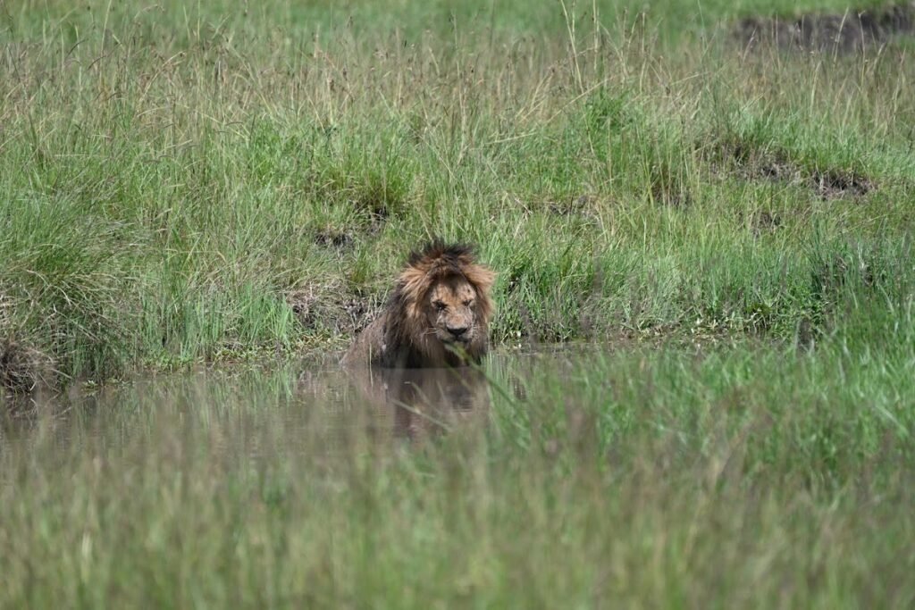 Lodge gallery image 6