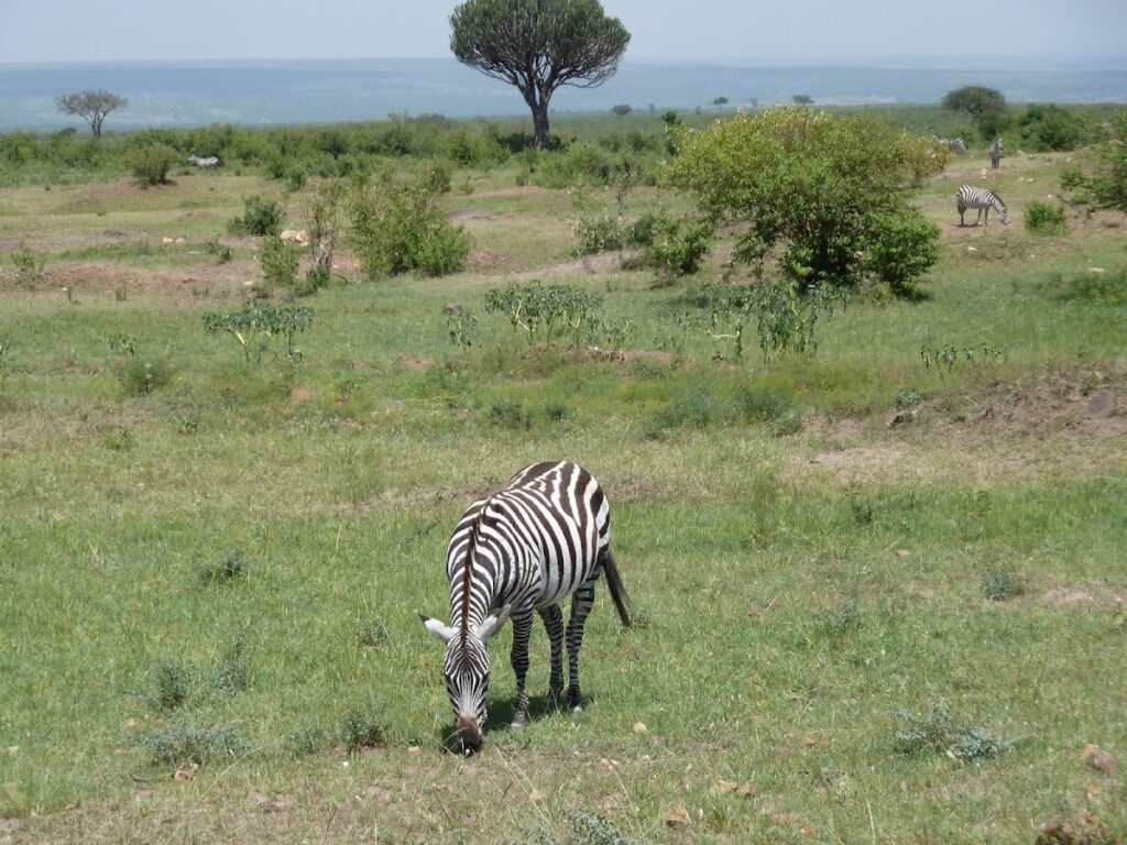 Lodge gallery image 2