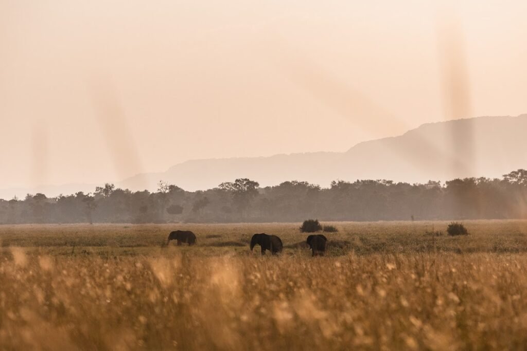 Lodge gallery image 5