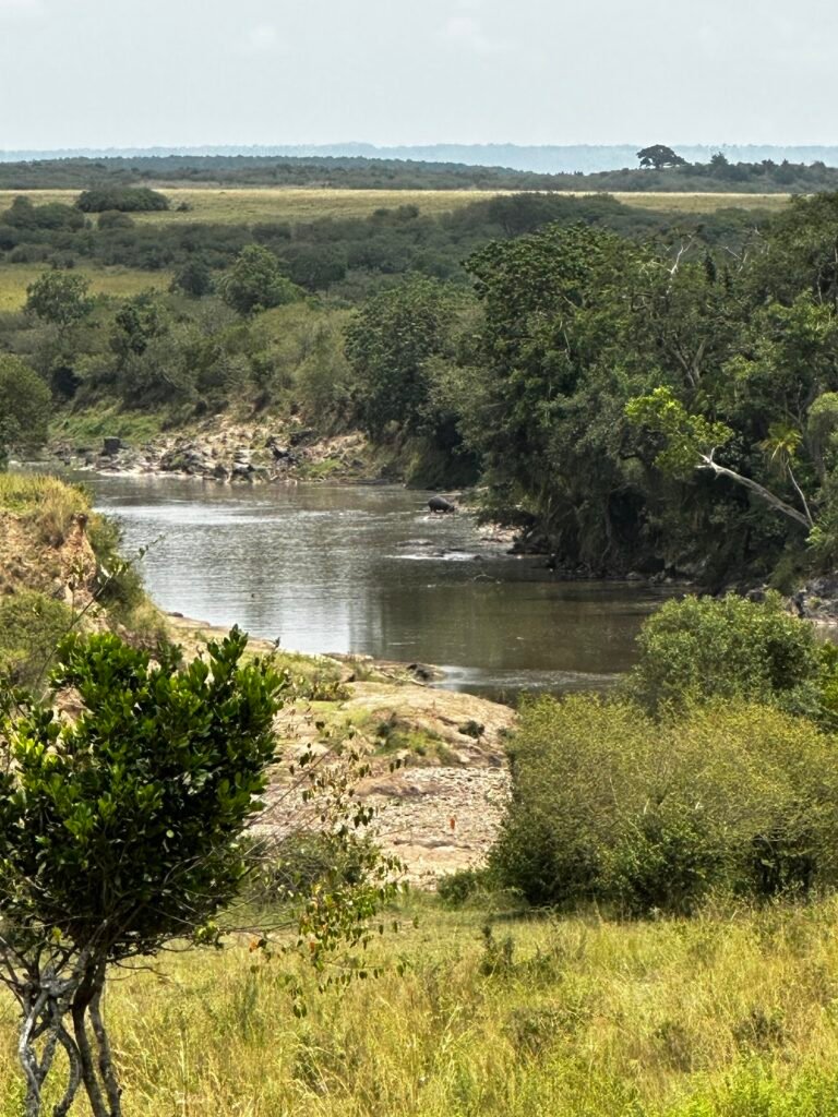 Lodge gallery image 6