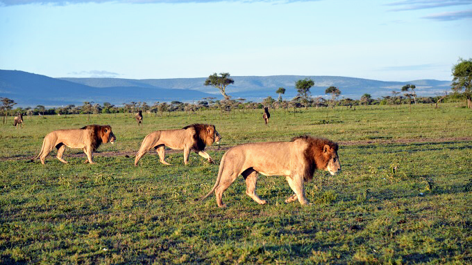 Gamewatchers Adventure Camp