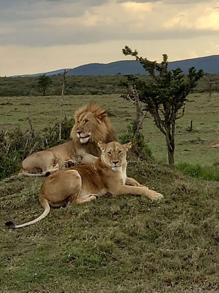 Lodge gallery image 2