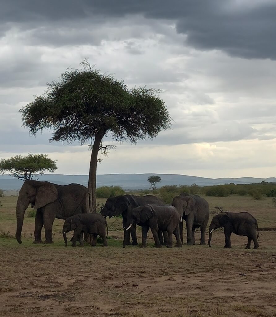 Lodge gallery image 4