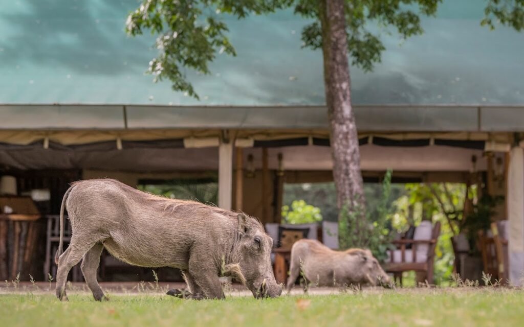 Lodge gallery image 6